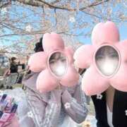 ヒメ日記 2026/04/03 12:05 投稿 はるな さくら ホットポイント パート2