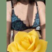 ヒメ日記 2025/11/14 10:18 投稿 さきこ 即アポマダム～名古屋店～