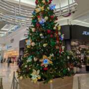 さきこ こんばんわ 即アポマダム～名古屋店～