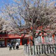 ヒメ日記 2026/04/04 08:40 投稿 さきこ 即アポマダム～名古屋店～