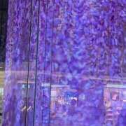ヒメ日記 2026/04/22 17:32 投稿 さきこ 即アポマダム～名古屋店～