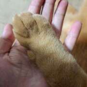 ヒメ日記 2025/05/09 06:16 投稿 妃(きさき) 黒薔薇