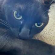 ヒメ日記 2025/05/18 06:33 投稿 妃(きさき) 黒薔薇