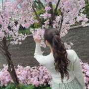 ヒメ日記 2025/04/04 12:04 投稿 Aina ワンカラット～人妻の輝き～