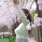 ヒメ日記 2026/02/03 18:02 投稿 Aina ワンカラット～人妻の輝き～