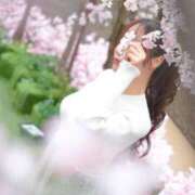 ヒメ日記 2026/04/22 17:30 投稿 Aina ワンカラット～人妻の輝き～