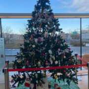 ヒメ日記 2024/12/12 12:02 投稿 かりん 人妻の品格(福岡)