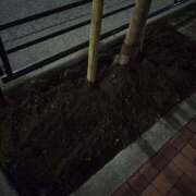 ヒメ日記 2025/04/15 11:30 投稿 なお アクトレス(鶯谷)