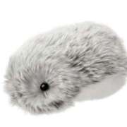 ヒメ日記 2025/05/27 11:30 投稿 なお アクトレス(鶯谷)