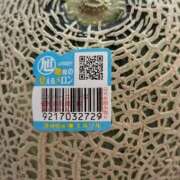 ヒメ日記 2025/06/02 11:30 投稿 なお アクトレス(鶯谷)