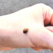 ヒメ日記 2025/07/16 11:30 投稿 なお アクトレス(鶯谷)