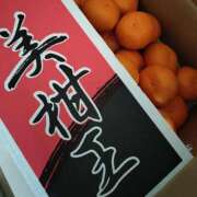 ヒメ日記 2025/12/09 11:30 投稿 なお アクトレス(鶯谷)