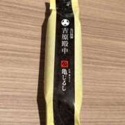 ヒメ日記 2025/12/10 11:30 投稿 なお アクトレス(鶯谷)