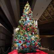 ヒメ日記 2025/12/24 11:30 投稿 なお アクトレス(鶯谷)