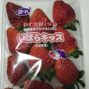 なお 今シーズンは遅い？ アクトレス(鶯谷)