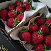 ヒメ日記 2026/02/09 11:55 投稿 なお アクトレス(鶯谷)