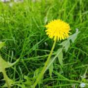 ヒメ日記 2026/03/23 14:23 投稿 なお アクトレス(鶯谷)