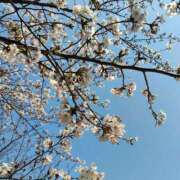 ヒメ日記 2026/03/30 11:30 投稿 なお アクトレス(鶯谷)