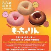ヒメ日記 2026/05/19 11:31 投稿 なお アクトレス(鶯谷)
