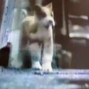 ヒメ日記 2025/02/05 10:24 投稿 こゆき 池袋おかあさん