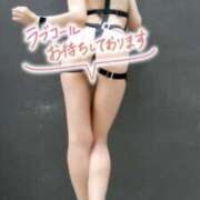 ヒメ日記 2025/02/13 10:44 投稿 こゆき 池袋おかあさん