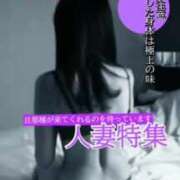 ヒメ日記 2025/02/16 09:24 投稿 こゆき 池袋おかあさん