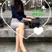 ヒメ日記 2025/04/01 09:14 投稿 こゆき 池袋おかあさん