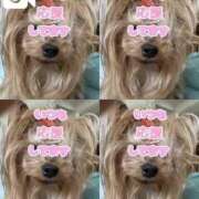 ヒメ日記 2025/05/14 08:54 投稿 こゆき 池袋おかあさん