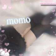 ヒメ日記 2025/12/29 11:24 投稿 もも 西川口マーメイド