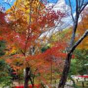 ヒメ日記 2024/11/30 08:57 投稿 中沢　つき ギン妻パラダイス 谷九店