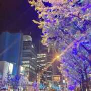 ヒメ日記 2024/12/24 08:58 投稿 中沢　つき ギン妻パラダイス 谷九店