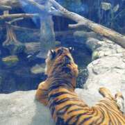 ヒメ日記 2025/02/27 08:57 投稿 中沢　つき ギン妻パラダイス 谷九店