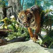 ヒメ日記 2025/02/28 08:58 投稿 中沢　つき ギン妻パラダイス 谷九店