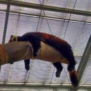 ヒメ日記 2025/03/01 09:00 投稿 中沢　つき ギン妻パラダイス 谷九店