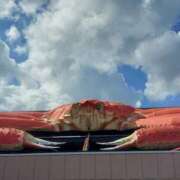 ヒメ日記 2025/03/13 08:45 投稿 中沢　つき ギン妻パラダイス 谷九店