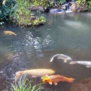 ヒメ日記 2025/03/22 08:55 投稿 中沢　つき ギン妻パラダイス 谷九店