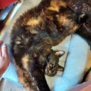 ヒメ日記 2025/04/19 08:56 投稿 中沢　つき ギン妻パラダイス 谷九店