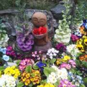 ヒメ日記 2025/04/24 09:14 投稿 中沢　つき ギン妻パラダイス 谷九店