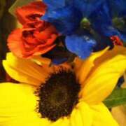 ヒメ日記 2025/04/30 19:10 投稿 中沢　つき ギン妻パラダイス 谷九店