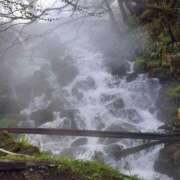 ヒメ日記 2025/05/07 09:02 投稿 中沢　つき ギン妻パラダイス 谷九店