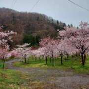 ヒメ日記 2025/05/08 08:53 投稿 中沢　つき ギン妻パラダイス 谷九店