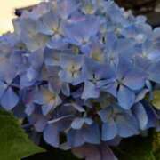 ヒメ日記 2025/06/21 17:45 投稿 中沢　つき ギン妻パラダイス 谷九店