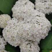 ヒメ日記 2025/06/23 08:54 投稿 中沢　つき ギン妻パラダイス 谷九店