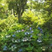 ヒメ日記 2025/07/01 18:15 投稿 中沢　つき ギン妻パラダイス 谷九店