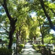 ヒメ日記 2025/07/02 09:03 投稿 中沢　つき ギン妻パラダイス 谷九店