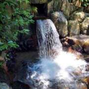 ヒメ日記 2025/07/31 19:13 投稿 中沢　つき ギン妻パラダイス 谷九店