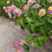 ヒメ日記 2025/08/04 17:55 投稿 中沢　つき ギン妻パラダイス 谷九店