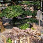 ヒメ日記 2025/09/01 09:49 投稿 中沢　つき ギン妻パラダイス 谷九店