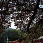 ヒメ日記 2025/09/12 08:51 投稿 中沢　つき ギン妻パラダイス 谷九店