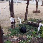 ヒメ日記 2025/10/06 08:59 投稿 中沢　つき ギン妻パラダイス 谷九店